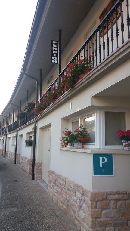 Hotel Pensión Amets Zubiri Exterior foto